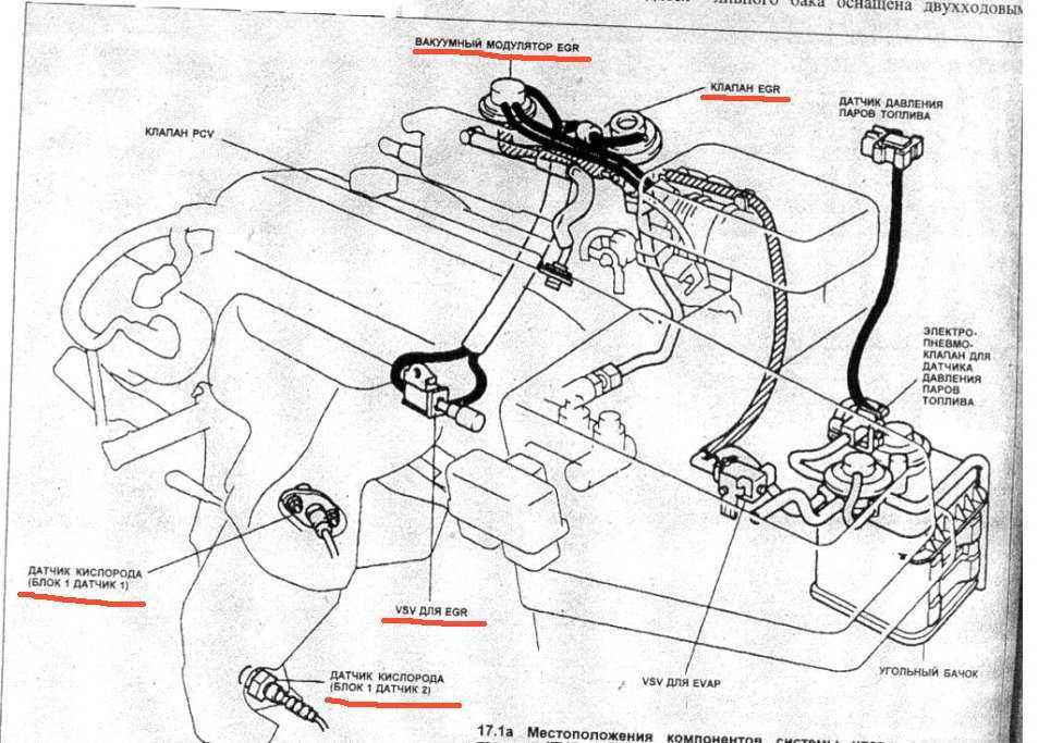 Understanding The Toyota Corolla Evap System Diagram And